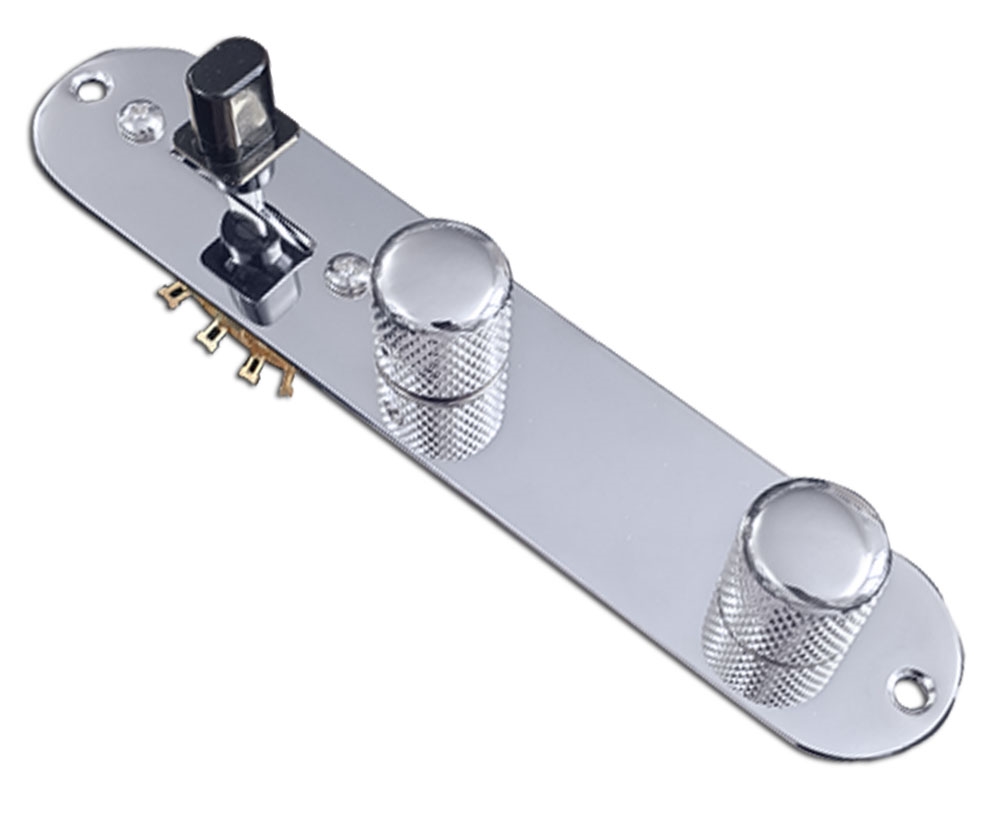 Axesrus Loaded Control Plate for HB Neck Tele