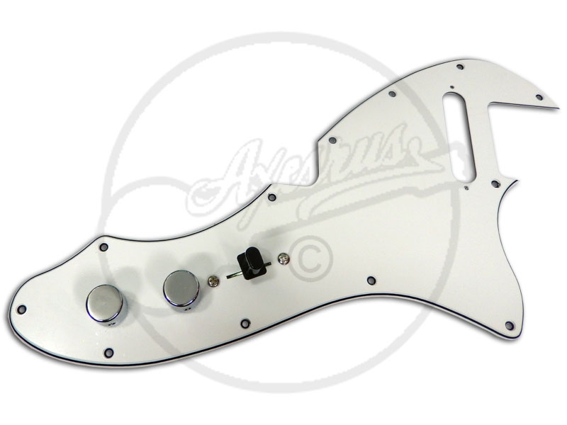 Axesrus loaded Telecaster Thinline Plate